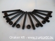 Screws for cylinder head Feng Shou 254 II