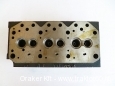 Cylinder head Y385