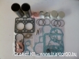 Engine overhaul kit Kubota L1501 STD