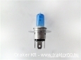 Light bulb Feng Shou FS254 II
