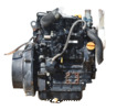 Yanmar 3TNV70-00513 