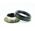 Rear axle seal Iseki TS2210