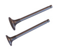 Inlet exhaust valve pair