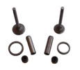 Valve kit Jiangdong TY295IT