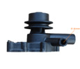 Water pump Shenniu SN254