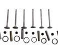 Valve kit Yangdong Y380