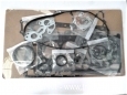 Gasket kit V2203M-DI Complete