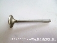 Inlet valve Iseki TS series